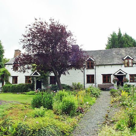 Glencoed B&B Wrexham Eksteriør bilde