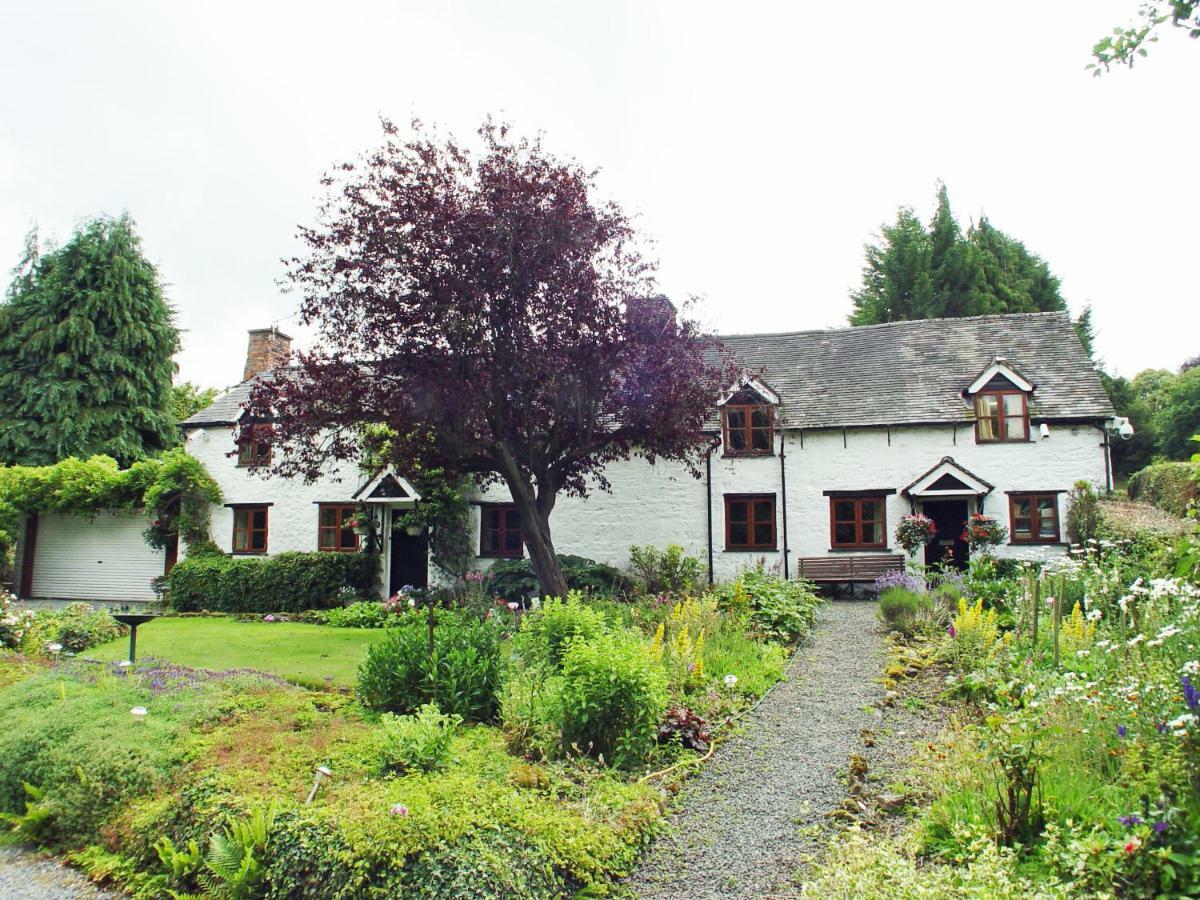 Glencoed B&B Wrexham Eksteriør bilde
